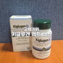 (주)엑트 | 리포좀 글루타치온 키위 엑터네딘으로 항산화 케어하기 - 고체 키위 키글루겐 솔직후기