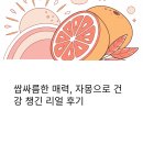 자몽이네 | 쌉싸름한 매력, 자몽으로 건강 챙긴 리얼 후기