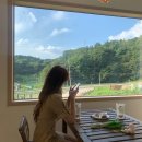 유로코피자 오창점 | 210810-210814