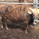 풍전농장 이미지