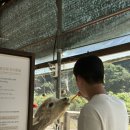 현준목장 이미지