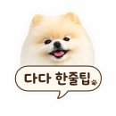 엔젤펫카페 | 이누네코 2025 산책매트 | 여름 포토존 필수템 듀라론 강아지 산책매트 후기