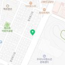 커들리 퍼피 창원강아지 분양 이미지