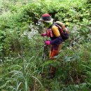 남도삼백리길(6코스) 이미지