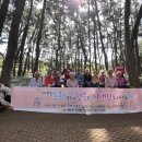 인지보건지소 이미지