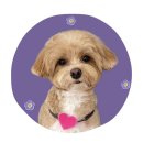 하얀이언니네 이미지