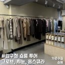 압구정 쇼룸 투어 🛍️ 그로브 스토어 가로수점, 옵스큐라 시눈 도산 방문 쇼핑 후기