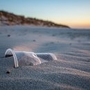 정영식품 이미지