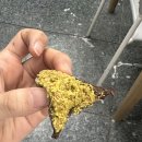 럭키약국 이미지