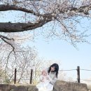 울주(울산) | 벚꽃 명소인 울산 울주군 서생포왜성 다녀온 후기