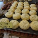 맘모스약국 이미지