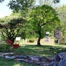 대한의백 이미지