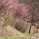 삼선산수목원 숲속도서관 이미지