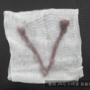 수서동물병원 이미지