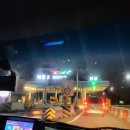 참조은 애견 이미지