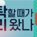 2023-0048 네이버블로그
