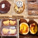 사파동113 이미지