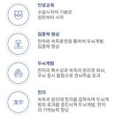 두뇌계발한자속독 이미지