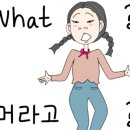 방탄유도관 이미지