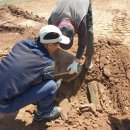 파평체육공원 야구장 이미지