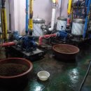 세정 사우나 이미지