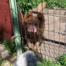 산골흙집민박 이미지