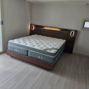 금성세탁 | 혼수 가구백화점 텍스빌 금성침대 부부 매트리스 추천 프리미엄 헤스티스 킹 라지 침대 후기