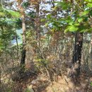 남양2리 이미지