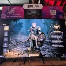 폴인퍼피 이미지