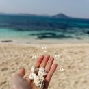 제주도 우도 바다 서빈백사 산호 해수욕장 물때