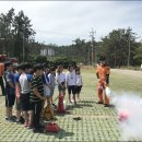 송호초등학교 이미지