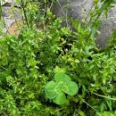 하늘사랑주간보호센터 이미지