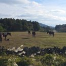 성이시돌요양원 이미지