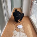 리조트팰리즈 이미지