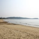 천리포항 이미지