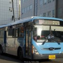 유림-1034 이미지