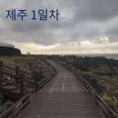 월령백련초가 | 제주여행 1일차 - 양가형제 / 오설록 티뮤지엄 / 푸르다오션펜션 / 월령선인장군락지 / 월령작야