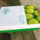 재우농장 네이버블로그