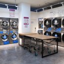 워시나인 이미지