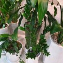 유수정행정사사무소 이미지