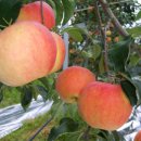 신오산마을 이미지