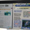 전복해장국
