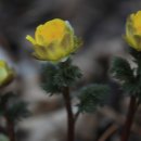 황전(순천) 이미지