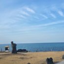 골든목장 | 제주ㅣ여자 혼자 겨울 제주 여행(2) - 성이시돌목장 / 대동호텔 / 산지나미 / 사라봉 / 산지해장국