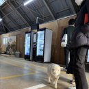 파머스빌리지 스파 이미지