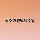 광주 개인택시 수입