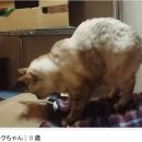 중앙여관 이미지