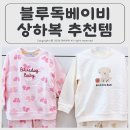 블루독베이비 상하복 두 돌 아기 상하세트 사이즈 추천 착용 후기