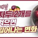 자두 효능 3가지 건자두 말린자두 칼로리 부작용 이미지