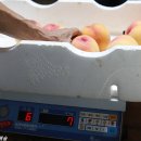 명성농장 이미지